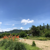 青空の下で農作業