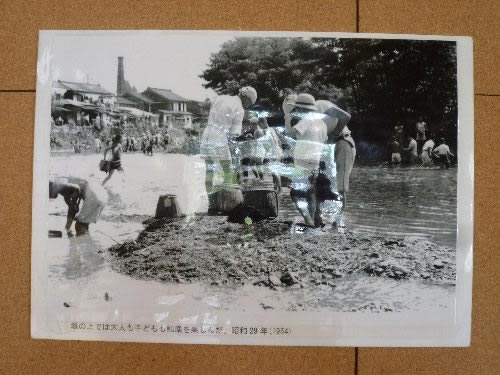 昔の槻川の写真
