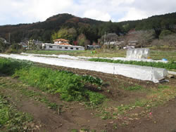 松永農場